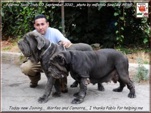 Pablo to Palermo,,,