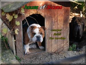 Bolao & Sicano