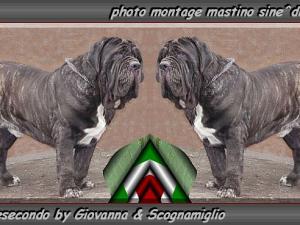 Neronesecondo by Giovanna & Scognomiglio 730 doppio