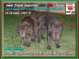 Camilla x Sicano,,, new joining 14 october 2007,,,