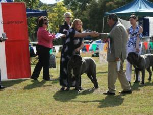 puppyMaleIMG_8672
