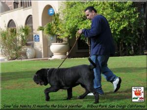 Sine^die Nikita 11 months,