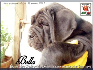 Bella by Patrizio Italia owner mastinosine^die italia,.,