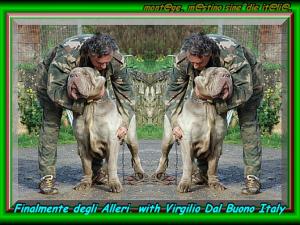 Finalmente degli alleri con Virgilio