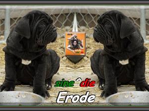 Erode sine^die,,, owner,, Giampiero Vella USA,,,