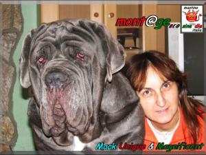 Mack Unique & Magnificent,,, mont@ge mastino sine^die italia,,,