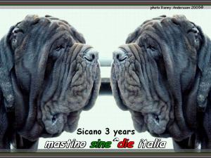Sicano sine^die 3 Years photo Ronny Andersson 2005
