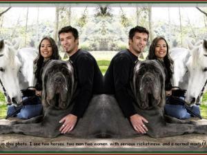 in this photo. I see two horses. two men two women. with serious ricketiness. and a normal mastiff