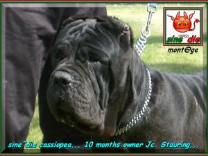 Cassiopea sine^die to 10 months xox