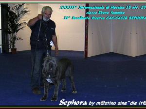 Sephora by sine^die II Res. CAC & CACIB ,,,,,