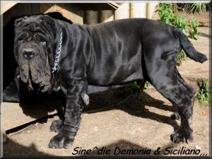 Siciliano & Demonia 31 Marzo 2009,,,,,