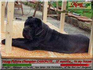 Caronte breeder Giuseppe La Parola