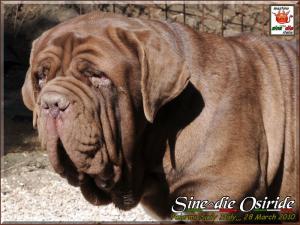 Sine^die Osiride 28 Marzo 2010,