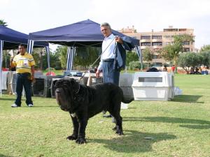 IMG_4476
