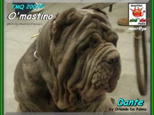 ATMQ 2007 Dante by Orlando De Palma,,,