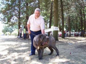 pasquale rusciano - bruno cac bob telese 3