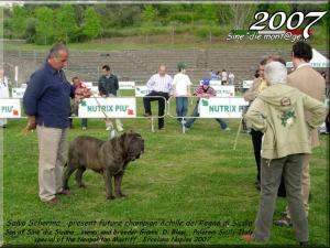 Achille son of Sicano with Salvo Scherma