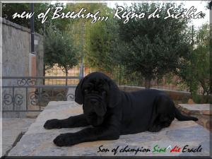 Ivan Regno di Sicilia,