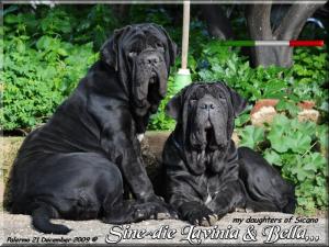 Sine^die Lavinia and Bella 21 December 2009 x