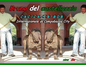 Bruno del Castellaccio,,, 1000