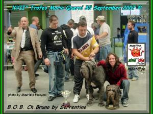 ATMQ 2007 BOB Bruno by Sorrentino,,, vincitore del Trofeo 2007,