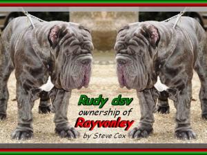 Rudy dello stradone alias Mattia,,, sine^die mont@ge,,, owner steve Cox,,, England