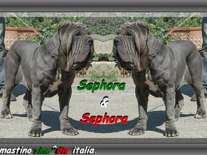 Sephora & Sephora.... 0260