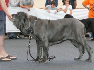 IMG_0591