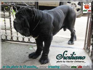 Siciliano,,, photo by Hector Ontiveros 21 June 2007,,,, pixel 800