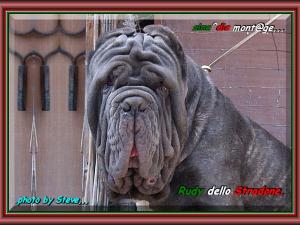 Rudy dello stradone alias Mattia,,, sine^die mont@ge,,,