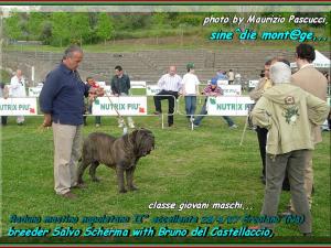 Ercolano, 28 Aprile 2007, raduno mastino napoletano classe giovane maschi,,,
