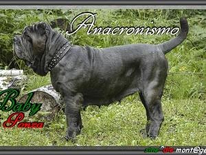 Baby di Ponza