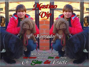 cuccioli Natalya maschio Korrado 45 days,,,