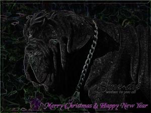 Merry Christmas & Happy New Year