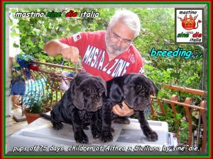Cuccioli Althea x Siciliano by sine^die 23 ottobre 2007,