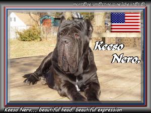 Keeso Nero