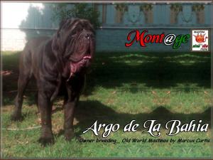 Argo de la Bahia
