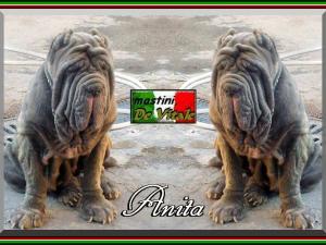 Anita mastini Patrizio De Vitale x0x