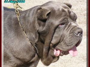 Botero by sine^die 01 may 2006 xo