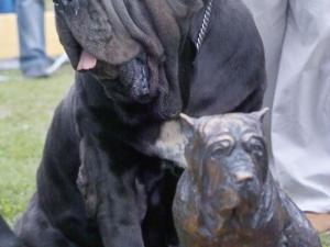 IMG05290opera