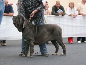 IMG_0477