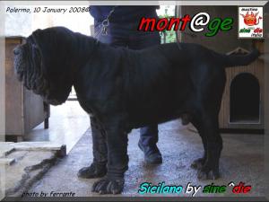 Siciliano by sine^die,, owner Giuseppe La Parola,,, photo by Ferrante,,,