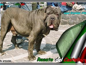 Renato del Castellaccio,,,,