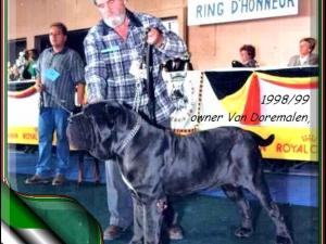 Caronte breeder Giuseppe La Parola Italy,,,, owner Van Doremalen  ,,,,