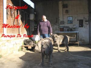 Pasquale -penelope-nikita-anita tzunami