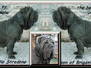 by sine^die Perla dello Stradone ooxx