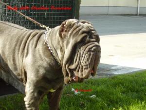 rudy dello stradone vesuviano -