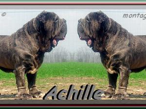 Achille by Bresolin,,,,, doppio