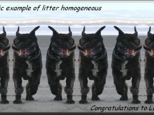 complimenti a Linda,,,