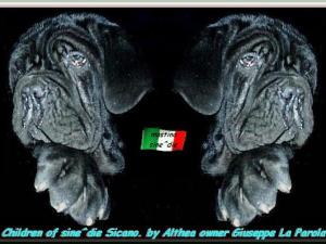 children of sine^die Sicano in the world by Althea 3 a b